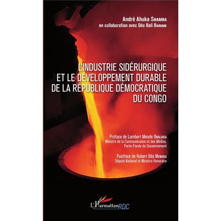 Industrie sidérurgique et le développement durable de la République démocratique du Congo