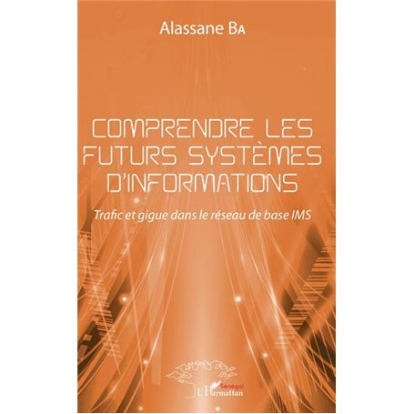 Comprendre les futurs systèmes d'informations