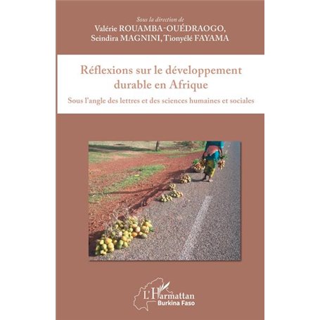 Réflexions sur le développement durable en Afrique