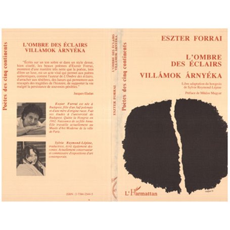 L'ombre des éclairs