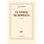 Le fémur de Rimbaud
