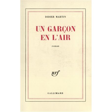 Un garçon en l'air