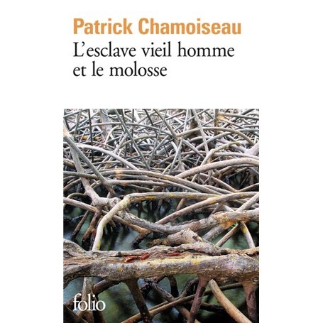 L'esclave vieil homme et le molosse