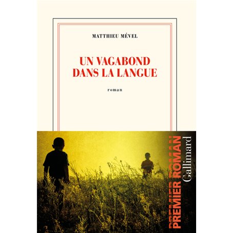 Un vagabond dans la langue