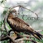 OISEAUX DE CORSE
