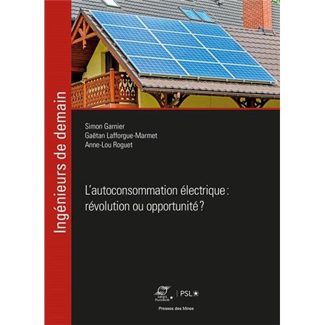 L'autoconsommation électrique : révolution ou opportunité ?