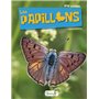 Les papillons