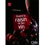 Quand le raisin se fait vin