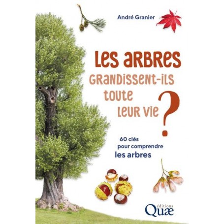 Les arbres grandissent-ils toute leur vie ?