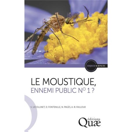 Le moustique, ennemi public no 1 ?