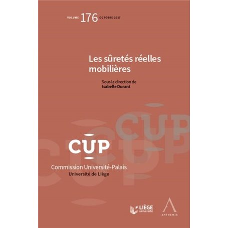 LES SURETES REELLES MOBILIERES