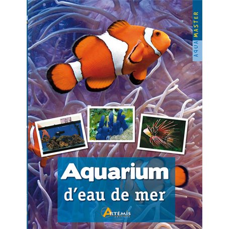 Aquarium d'eau de mer