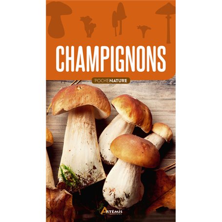 Champignons