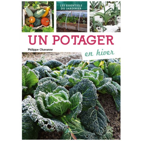 Potager en hiver (Un)