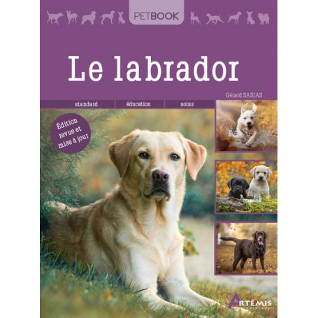 Labrador