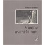 Vienne avant la nuit