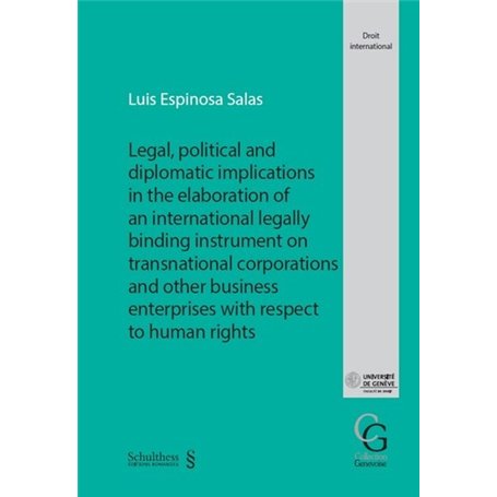 Legal, political and diplomatic implications in the elaboration of an international legally binding instrument on transnational