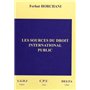 LES SOURCES DU DROIT INTERNATIONAL PUBLIC