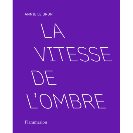 La vitesse de l'ombre