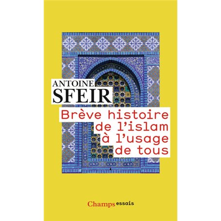 Brève histoire de l'Islam à l'usage de tous