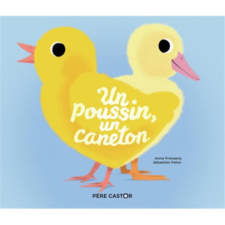 Un poussin, un caneton