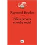 Effets pervers et ordre social