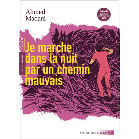 Je marche dans la nuit par un chemin mauvais