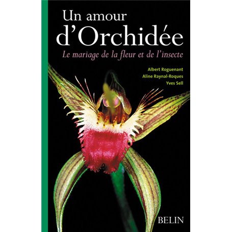 Un amour d'Orchidée
