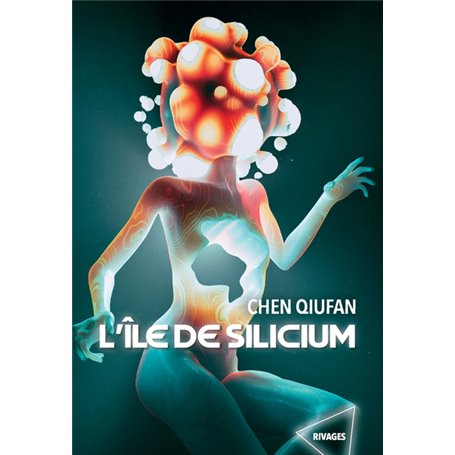 L'île de Silicium