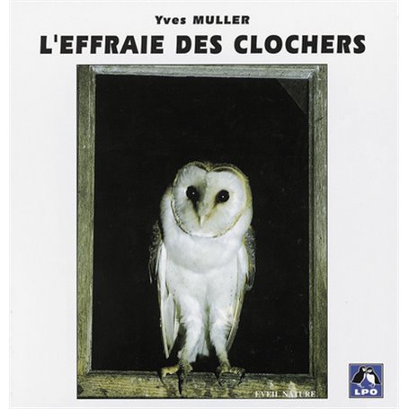 L'Effraie des clochers