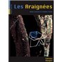 Les araignées
