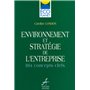 ENVIRONNEMENT & STRATEGIE ENTREPRISE