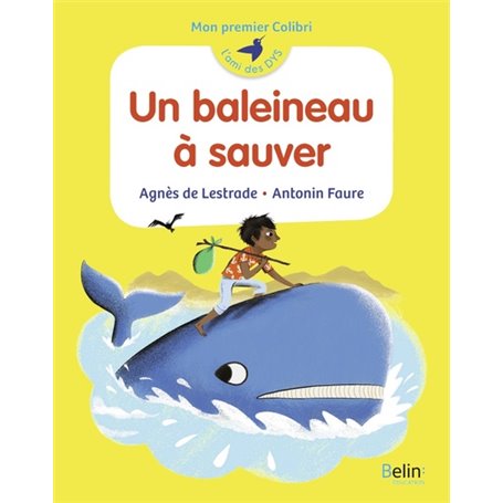 Un baleineau à sauver
