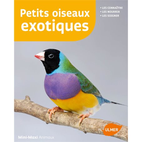 Petits oiseaux exotiques