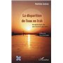 La disparition de l'eau en Irak