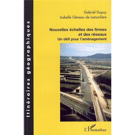 Nouvelles échelles des firmes et des réseaux