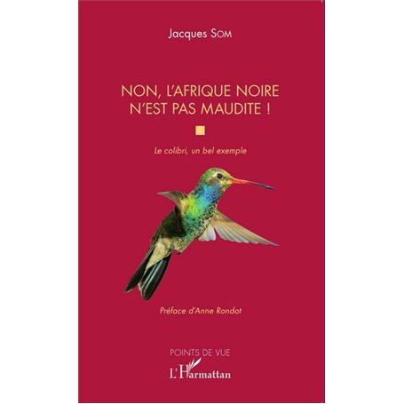 Non, l'Afrique noire n'est pas maudite