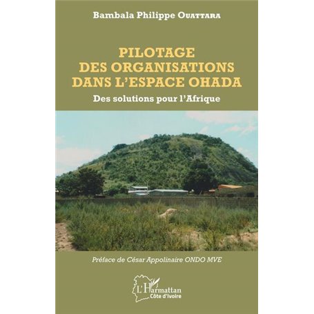 Pilotage des organisations dans l'espace OHADA
