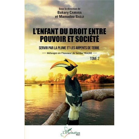L'enfant du droit entre pouvoir et société Tome 2