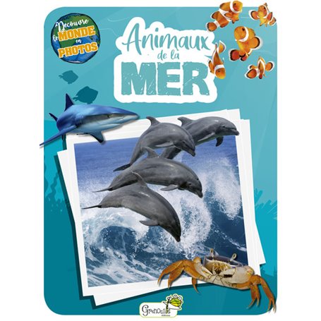Animaux de la mer
