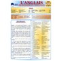 ANGLAIS DES MANAGERS ET CONSULTANTS (L')