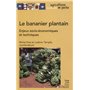 Le bananier plantain