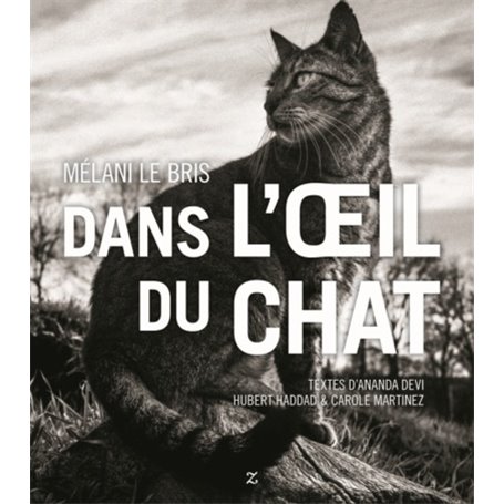 Dans l'oeil du chat