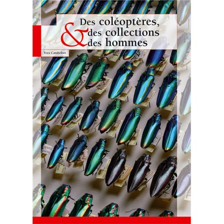 DES COLEOPTERES  DES COLLECTIONS ET DES HOMMES
