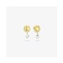 Boucles d´oreilles Femme Radiant RY000154