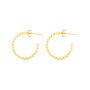 Boucles d´oreilles Femme Radiant RY000016