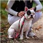 Laisse pour Chien Marvel Rouge M