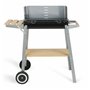 Barbecue Livoo DOC244 Acier