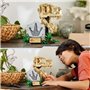 LEGO 76964 Jurassic World Les Fossiles de Dinosaures : Le Crâne du T. 