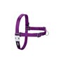 Harnais pour Chien Red Dingo 30-42 cm Violet XS